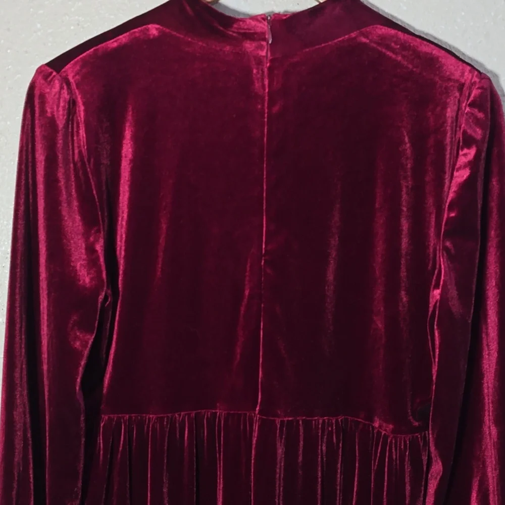 Taylor Elegant Velvet Burgundy Dress - Picture 7 of 9